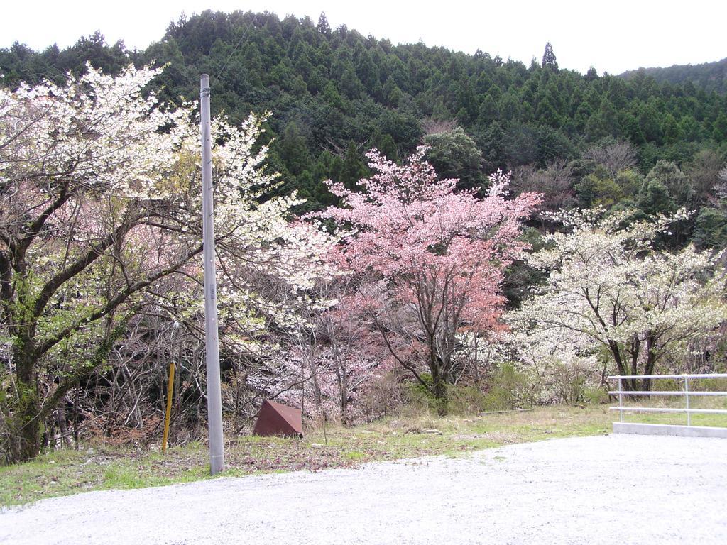 Irorino Yado Sankichi Hotel Izu  Exterior photo